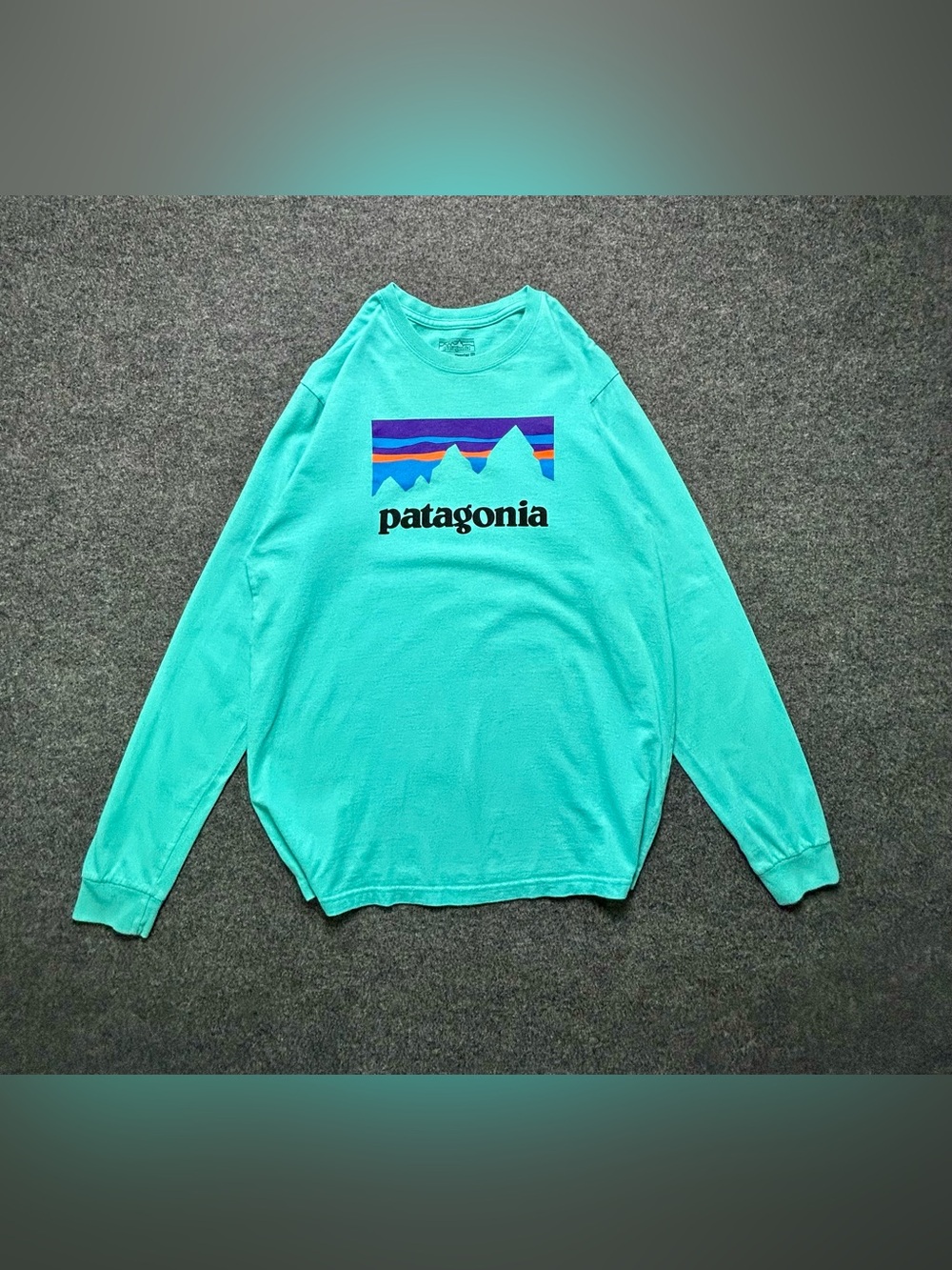 Patagonia Turquoise Graphic Logo Crewneck Tee